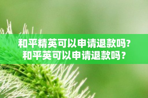 和平精英可以申请退款吗?和平英可以申请退款吗？