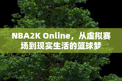 NBA2K Online，从虚拟赛场到现实生活的篮球梦