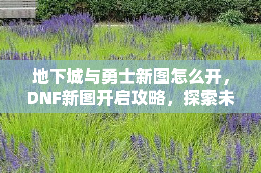 地下城与勇士新图怎么开，DNF新图开启攻略，探索未知领域的冒险之旅