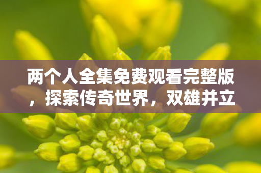 两个人全集免费观看完整版，探索传奇世界，双雄并立的激情与传奇