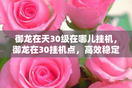 御龙在天30级在哪儿挂机，御龙在30挂机点，高效稳定的挂机体验