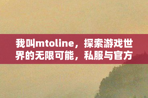 我叫mtoline，探索游戏世界的无限可能，私服与官方服务器的独特魅力