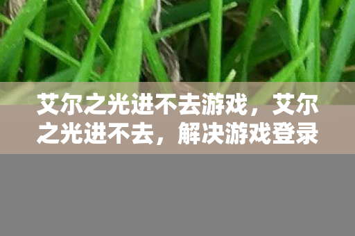 艾尔之光进不去游戏，艾尔之光进不去，解决游戏登录问题的全面指南