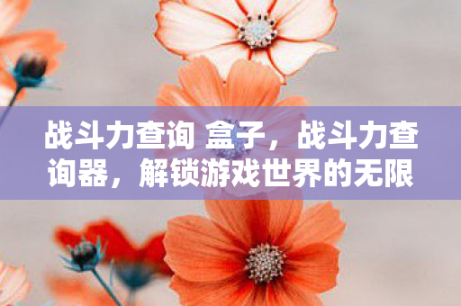 战斗力查询 盒子，战斗力查询器，解锁游戏世界的无限可能