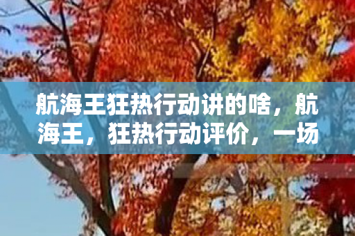 航海王狂热行动讲的啥，航海王，狂热行动评价，一场视觉盛宴的遗憾与期待