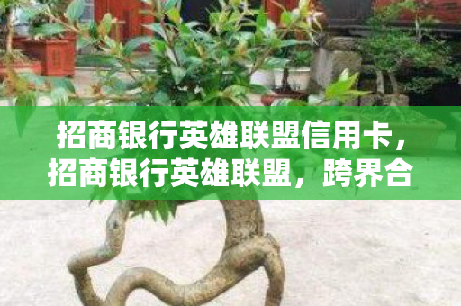 招商银行英雄联盟信用卡，招商银行英雄联盟，跨界合作引领金融与游戏新风尚