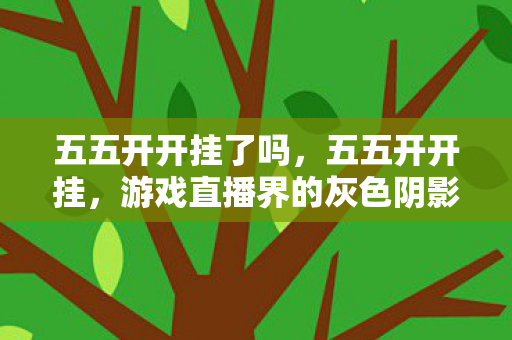 五五开开挂了吗，五五开开挂，游戏直播界的灰色阴影
