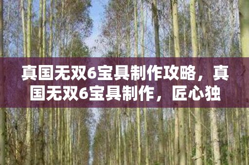 真国无双6宝具制作攻略，真国无双6宝具制作，匠心独运，打造传世神兵