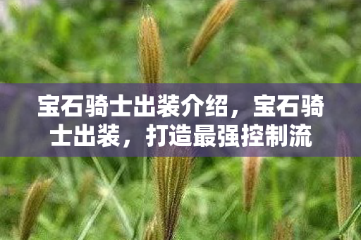 宝石骑士出装介绍，宝石骑士出装，打造最强控制流