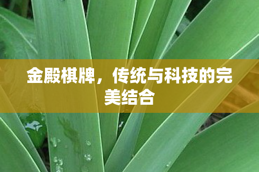 金殿棋牌，传统与科技的完美结合