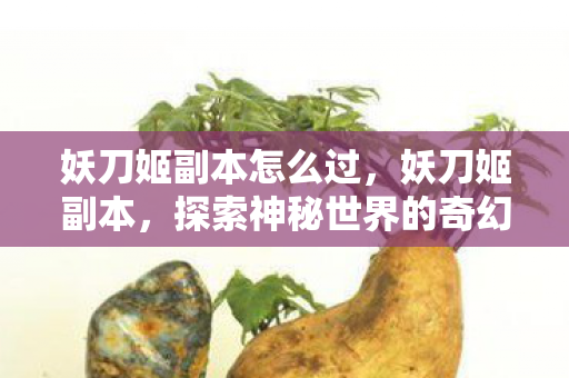 妖刀姬副本怎么过，妖刀姬副本，探索神秘世界的奇幻之旅