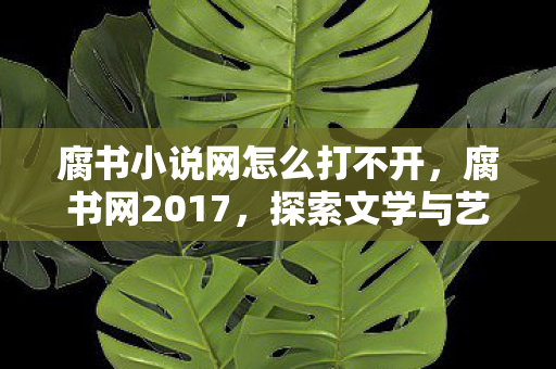 腐书小说网怎么打不开，腐书网2017，探索文学与艺术的交汇点
