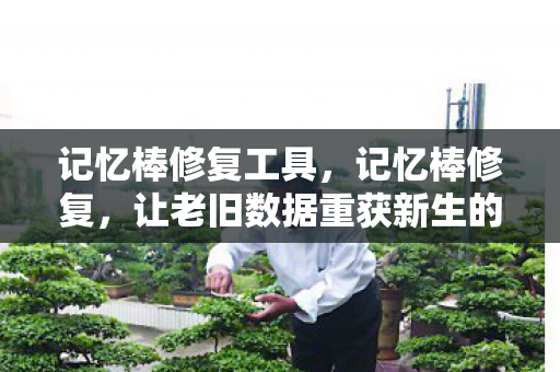 记忆棒修复工具，记忆棒修复，让老旧数据重获新生的秘密武器