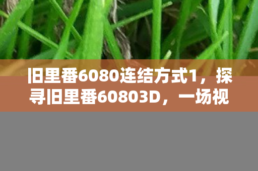 旧里番6080连结方式1，探寻旧里番60803D，一场视觉与情感的盛宴
