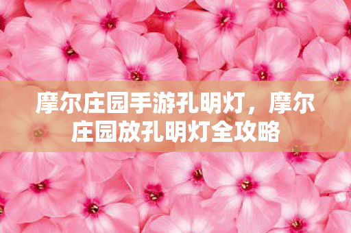 摩尔庄园手游孔明灯，摩尔庄园放孔明灯全攻略