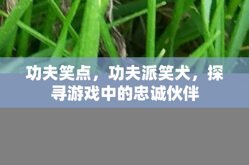 功夫笑点，功夫派笑犬，探寻游戏中的忠诚伙伴