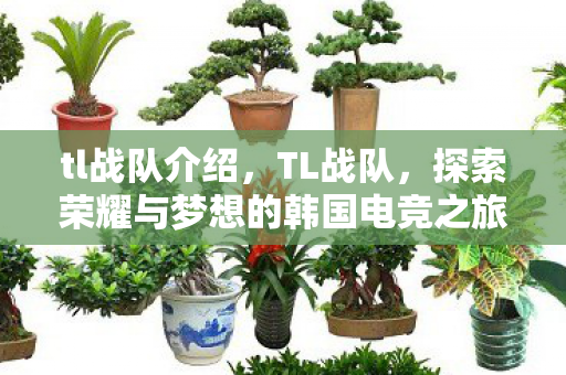 tl战队介绍，TL战队，探索荣耀与梦想的韩国电竞之旅