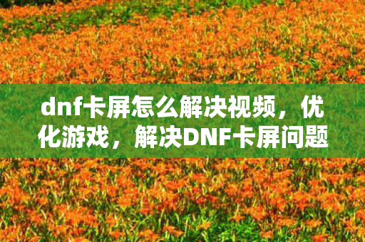 dnf卡屏怎么解决视频，优化游戏，解决DNF卡屏问题