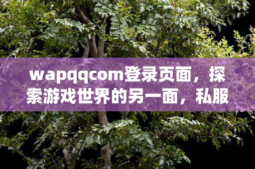 wapqqcom登录页面，探索游戏世界的另一面，私服游戏的魅力与挑战