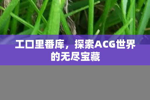 工口里番库，探索ACG世界的无尽宝藏