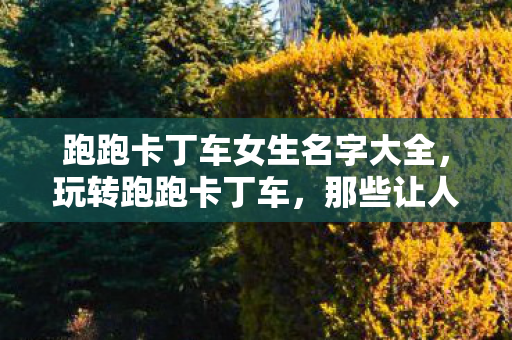 跑跑卡丁车女生名字大全，玩转跑跑卡丁车，那些让人心动的女生名字