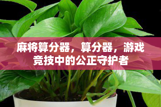 麻将算分器，算分器，游戏竞技中的公正守护者