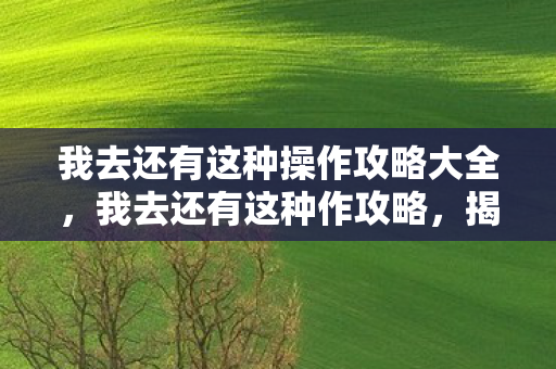 我去还有这种操作攻略大全，我去还有这种作攻略，揭秘游戏内购的另类玩法