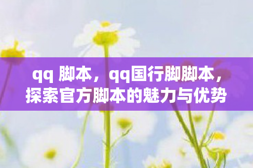 qq 脚本，qq国行脚脚本，探索官方脚本的魅力与优势