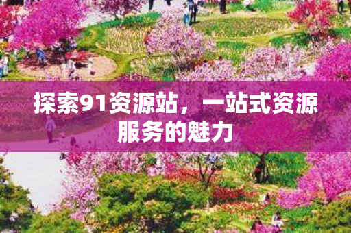 探索91资源站,一站式资源服务的魅力 探索91资源站,一站式资源服务的魅力