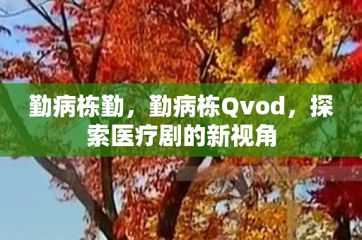 勤病栋勤，勤病栋Qvod，探索医疗剧的新视角
