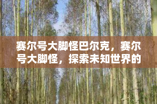 赛尔号大脚怪巴尔克，赛尔号大脚怪，探索未知世界的奇妙之旅