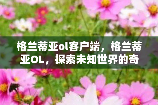 格兰蒂亚ol客户端，格兰蒂亚OL，探索未知世界的奇幻之旅