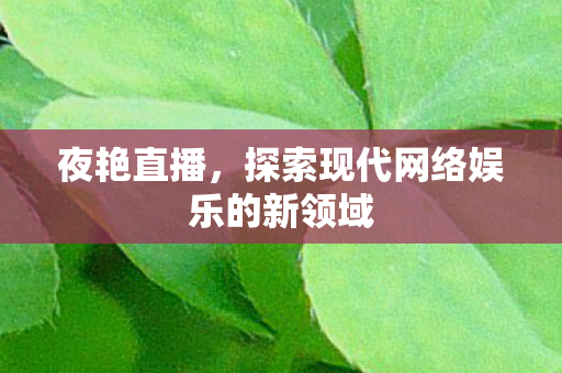 夜艳直播,探索现代网络娱乐的新领域 夜艳直播,探索现代网络娱乐的新领域