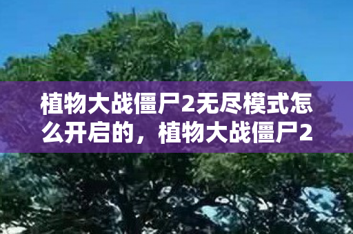 植物大战僵尸2无尽模式怎么开启的，植物大战僵尸2，解锁无尽模式的策略与技巧