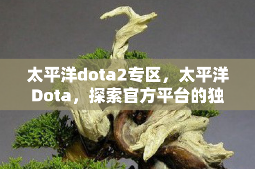 太平洋dota2专区，太平洋Dota，探索官方平台的独特魅力与社区生态