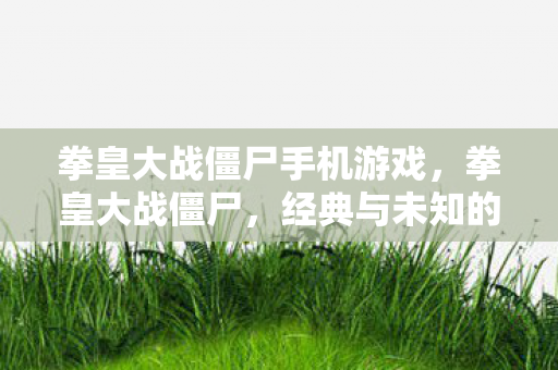 拳皇大战僵尸手机游戏，拳皇大战僵尸，经典与未知的碰撞