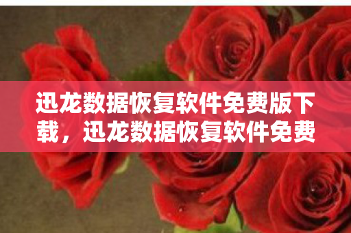 迅龙数据恢复软件免费版下载，迅龙数据恢复软件免费版，高效、安全的数据恢复利器