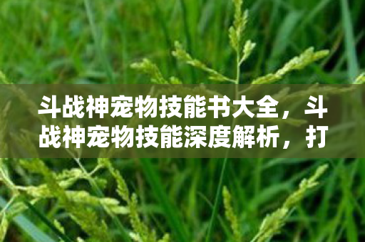 斗战神宠物技能书大全，斗战神宠物技能深度解析，打造最强战斗伙伴