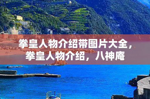 拳皇人物介绍带图片大全，拳皇人物介绍，八神庵