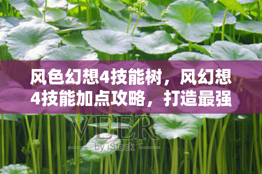 风色幻想4技能树，风幻想4技能加点攻略，打造最强角色