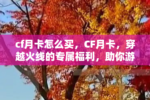 cf月卡怎么买，CF月卡，穿越火线的专属福利，助你游戏更畅快