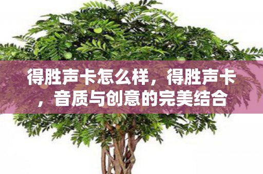 得胜声卡怎么样，得胜声卡，音质与创意的完美结合