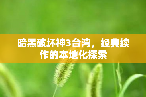 暗黑破坏神3台湾，经典续作的本地化探索