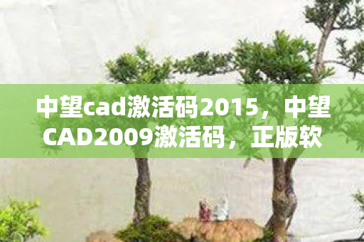 中望cad激活码2015，中望CAD2009激活码，正版软件的价值与合法使用的重要性