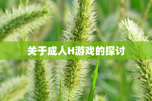 关于成人H游戏的探讨