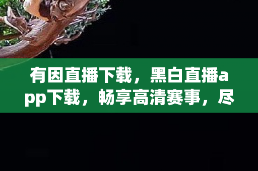 有因直播下载，黑白直播app下载，畅享高清赛事，尽在掌握