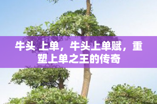 牛头 上单，牛头上单赋，重塑上单之王的传奇