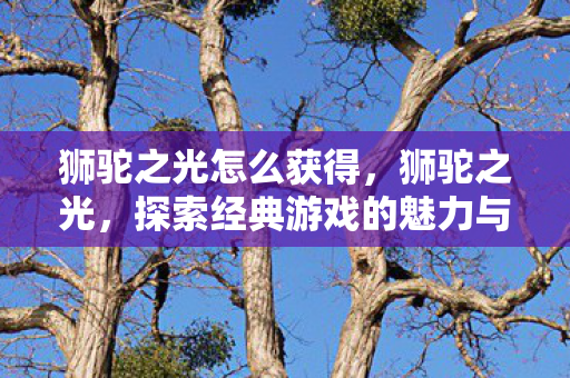 狮驼之光怎么获得，狮驼之光，探索经典游戏的魅力与传承