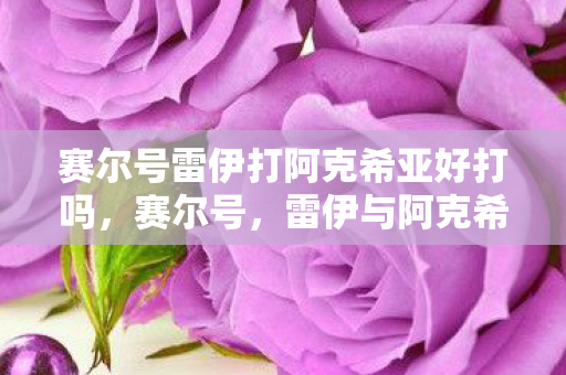 赛尔号雷伊打阿克希亚好打吗，赛尔号，雷伊与阿克希亚的宿命对决
