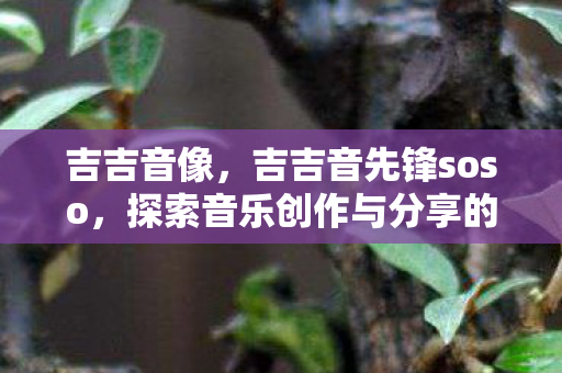 吉吉音像，吉吉音先锋soso，探索音乐创作与分享的新纪元